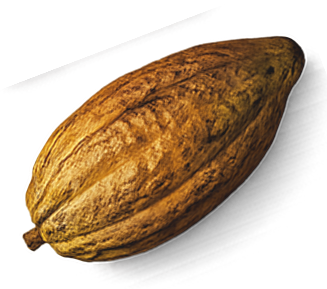 chatgpt image 8 de jun. de 2026 23 30 40 3.png